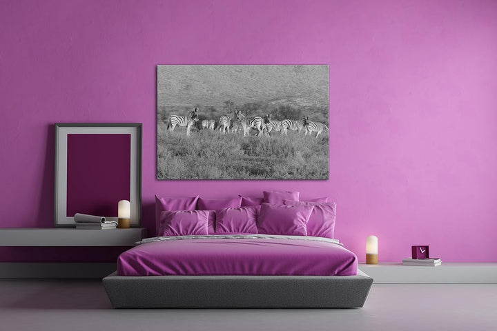 deyoli kleine Zebra Gruppe in der Savanne Effekt: Schwarz/Weiss Format: 80x60 als Leinwand, Motiv fe
