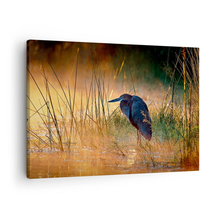Bilder auf Leinwand Vogel Natur Wasser Leinwandbild mit Rahmen 70x50cm Wandbilder Dekoration Wohnzim