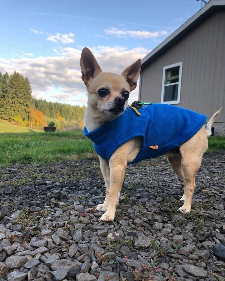 Gooby Fleece-Hundepullover mit Reissverschluss – Blau, Grösse S – warme Fleece-Hundejacke zum Hinein