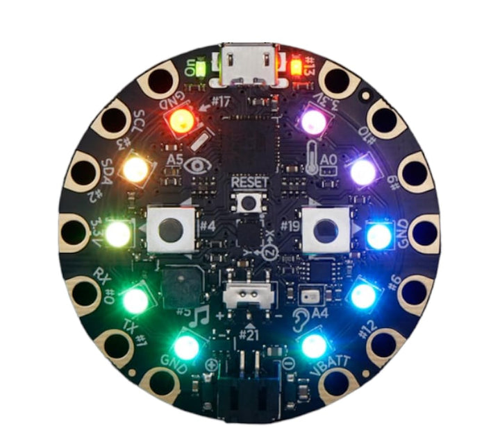 Circuit Playground - Developer Edition