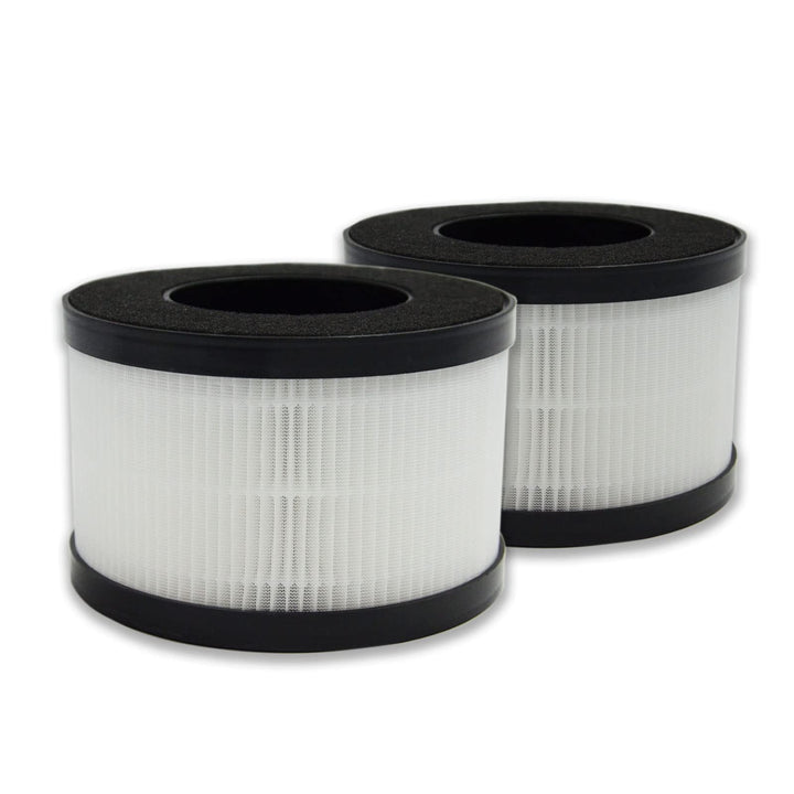 PUREBURG ErsatzFilter kompatibel mit HIMOX AP01 (H01) und Avamia BKJ-5 Luftreiniger, 2er-Pack H13 HE
