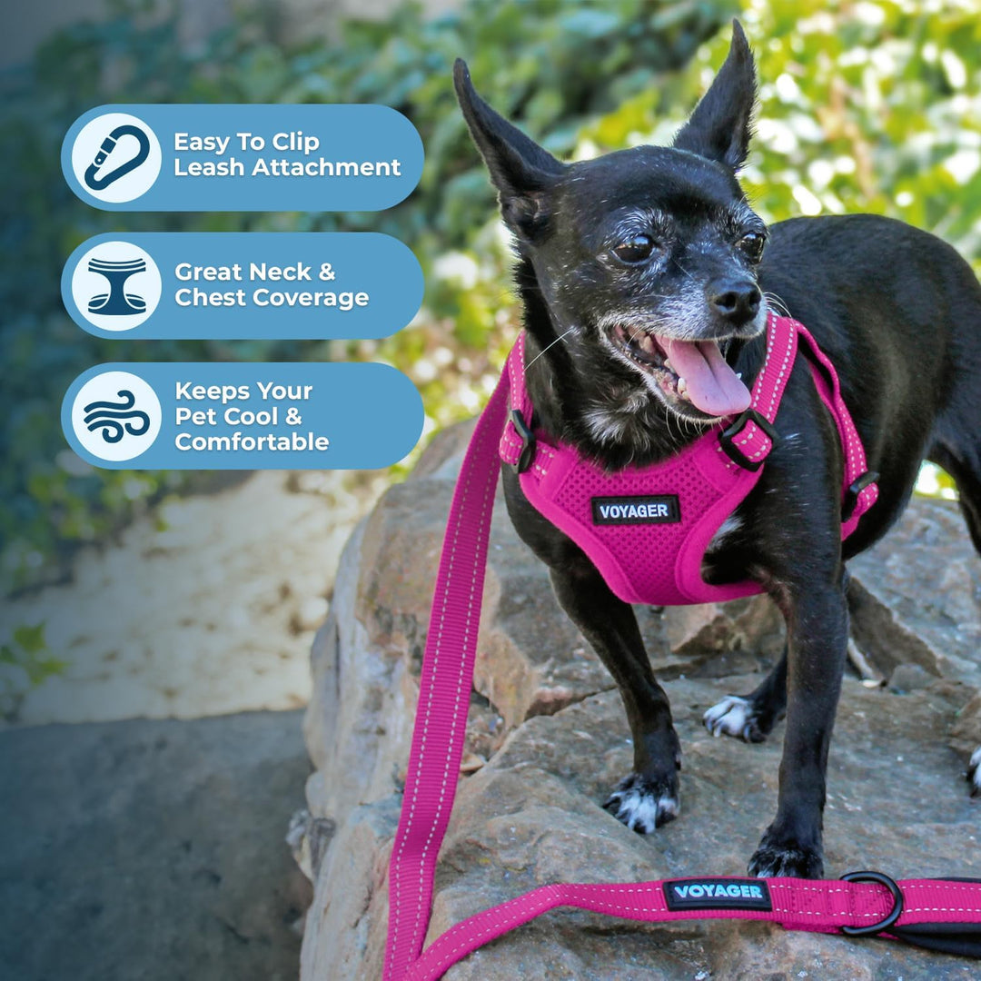 Voyager Verstellbares Hundegeschirr mit Reflektorstreifen by Best Pet Supplies - Strapazierfähige Ga