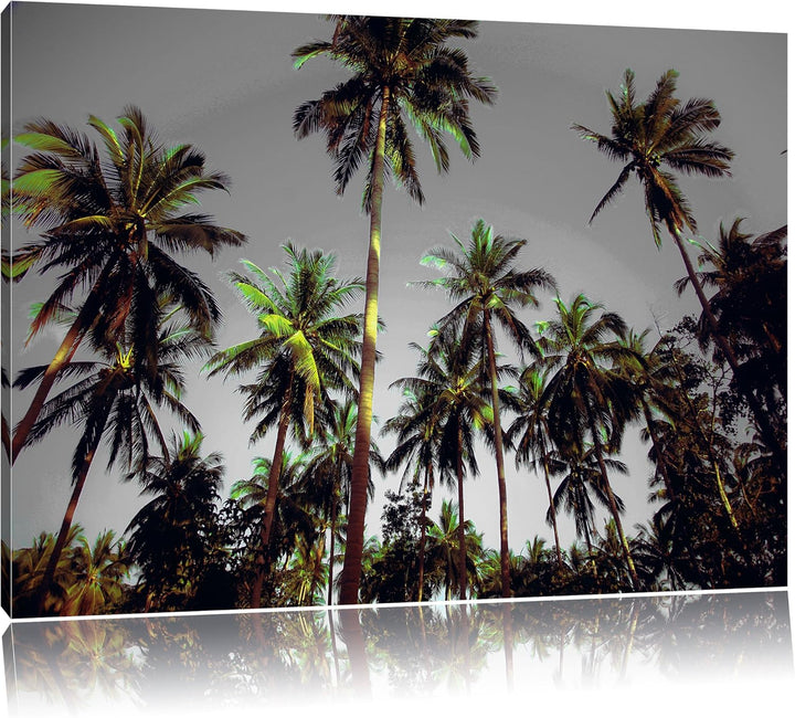 Pixxprint Tropische Palmen als Leinwandbild | Grösse: 100x70 cm | Wandbild | Kunstdruck | fertig bes
