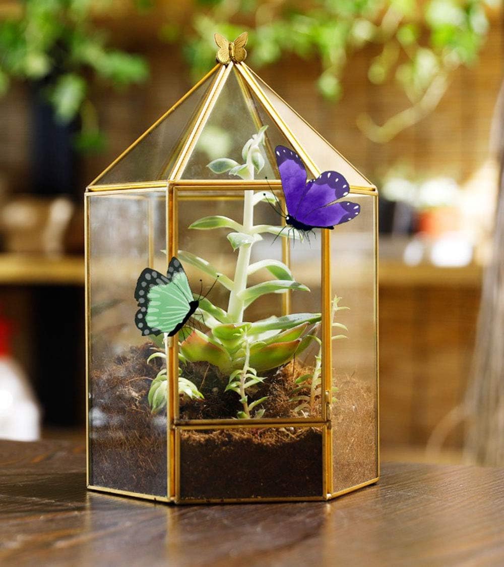 ELEGANTLIFE Geometrisches Pflanzenterrarium aus Glas, Sukkulenten- und Luft-Pflanzgefäss für Zuhause