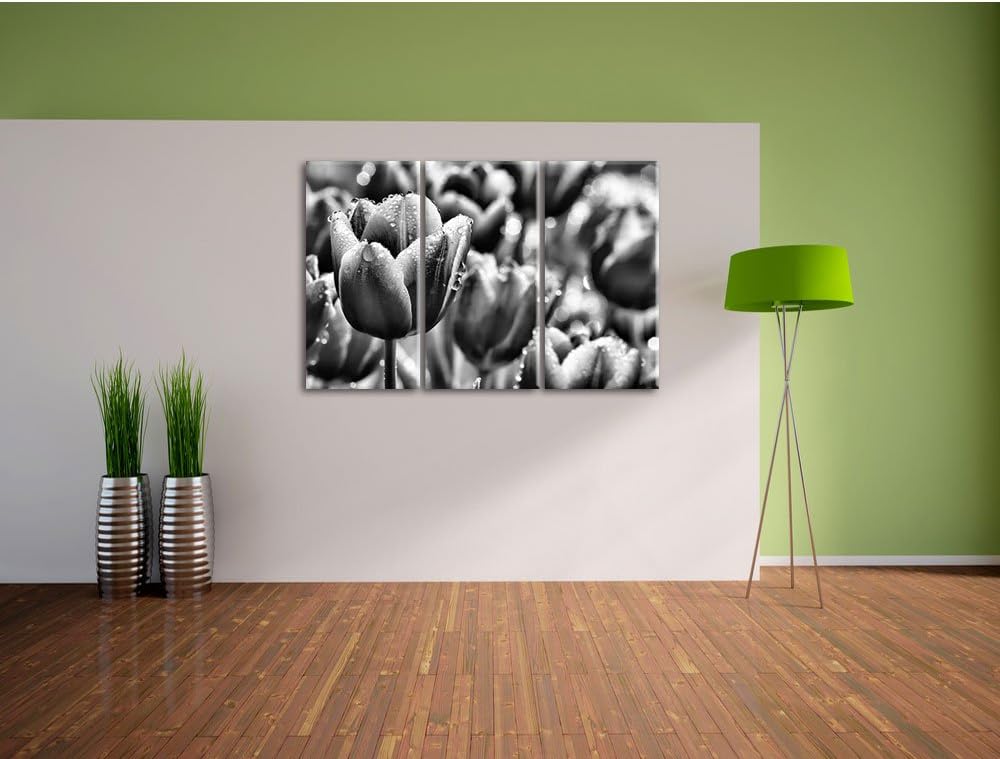 Pixxprint Tulpen mit Morgentau als Leinwandbild/Grösse: 3 Teilig (120x80) cm/Wandbild/Kunstdruck/fer
