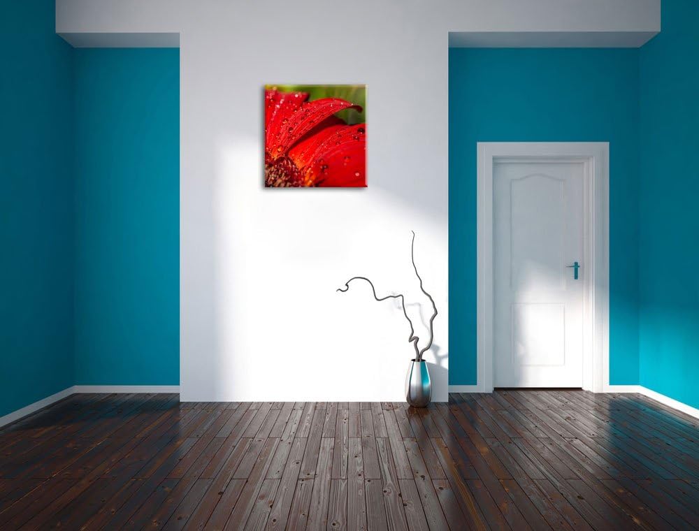 Tautropfen auf roter Blume, Format: 70x70 auf Leinwand, XXL riesige Bilder fertig gerahmt mit Keilra