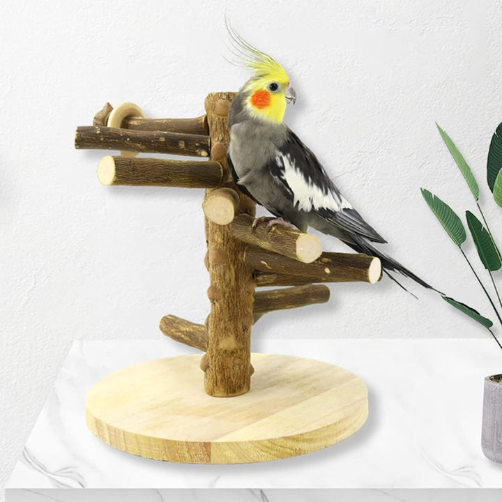 Wellensittich Spielplatz Vogel-Spielplatz für Nymphensittich Papageien Wellensittiche, Holz, Grösse
