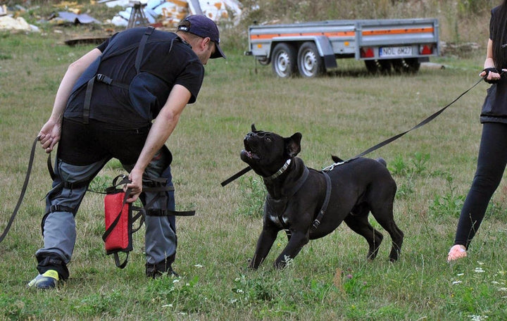Dingo Gear Beisskissen Keilform Medium Weich aus Baumwolle-Nylon Rot IPO IGP K9 Training Ausbildung