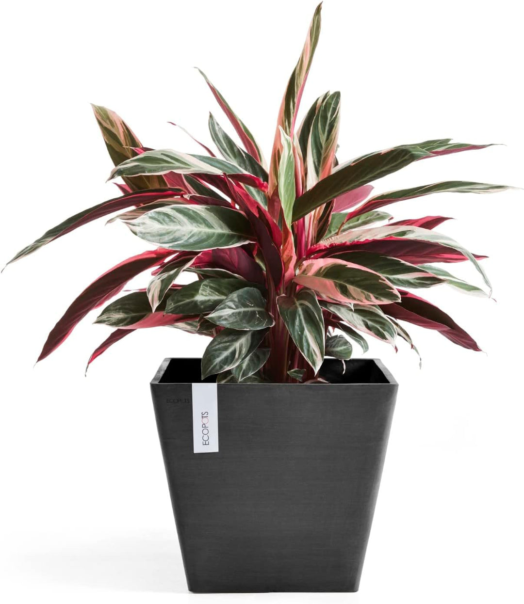 Ecopots Blumentopf Rotterdam Dunkel Grau - 30 x 30 cm quadratisch gross - Pflanzentopf aus Recycling