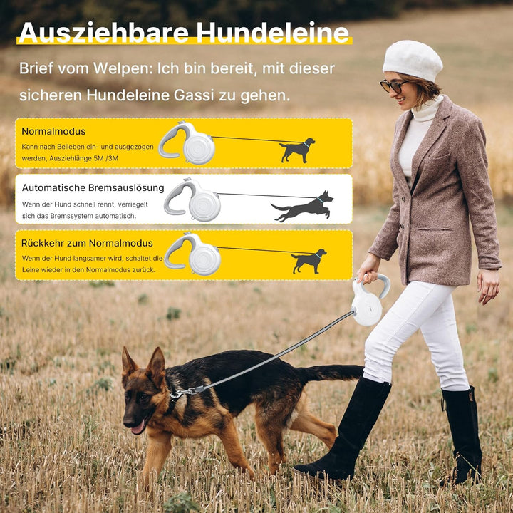 Hundeleine 5m,Rollleine Active Brake Schwere Leine für Mittlere und grosse Hunde Geeignet für Hunde