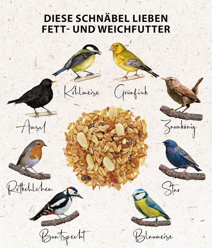 Dehner Natura Wildvogelfutter, Fett- und Weichfutter, 20 kg 20 kg (1er Pack) Single, 20 kg (1er Pack