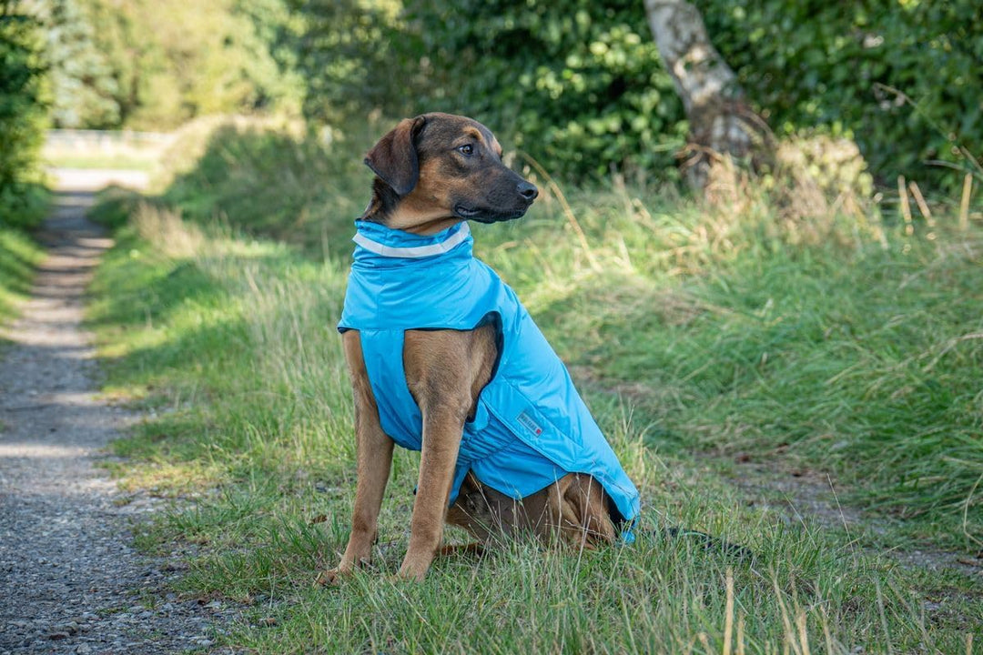 Wolters Outdoorjacke Modern Classic | Hundejacke die perfekt schützt bei Kälte und Nässe | Blau - Gr