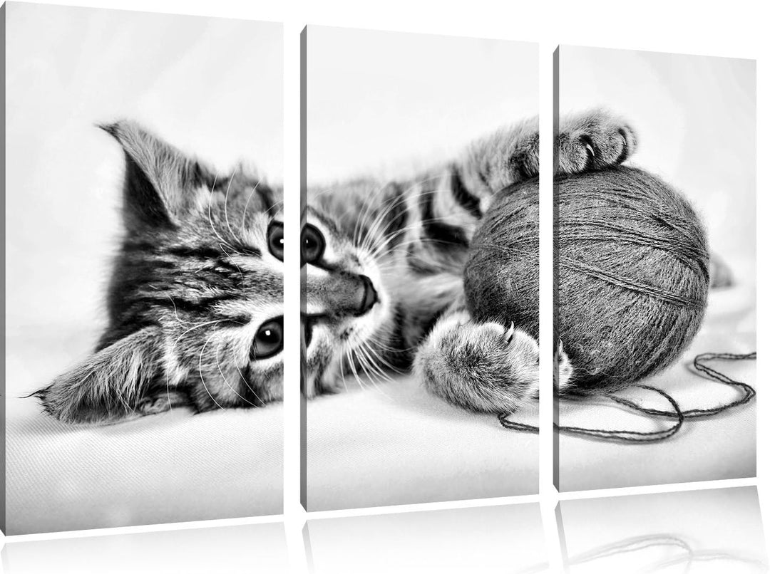 Pixxprint Kätzchen mit Wollknäuel als Leinwandbild/Grösse: 3 Teilig (120x80) cm/Wandbild/Kunstdruck/