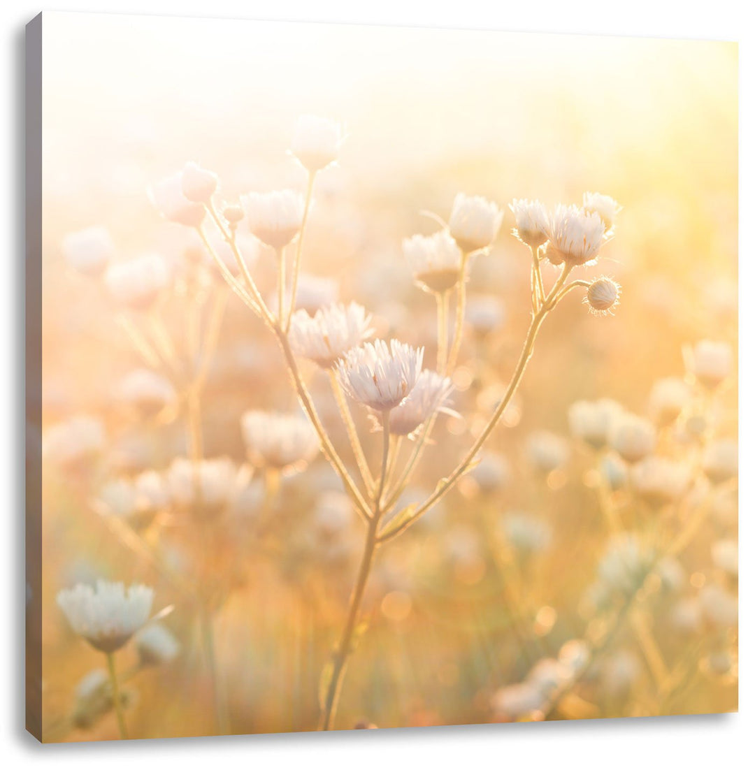 Romantische Blumenwiese, Format: 70x70 auf Leinwand, XXL riesige Bilder fertig gerahmt mit Keilrahme