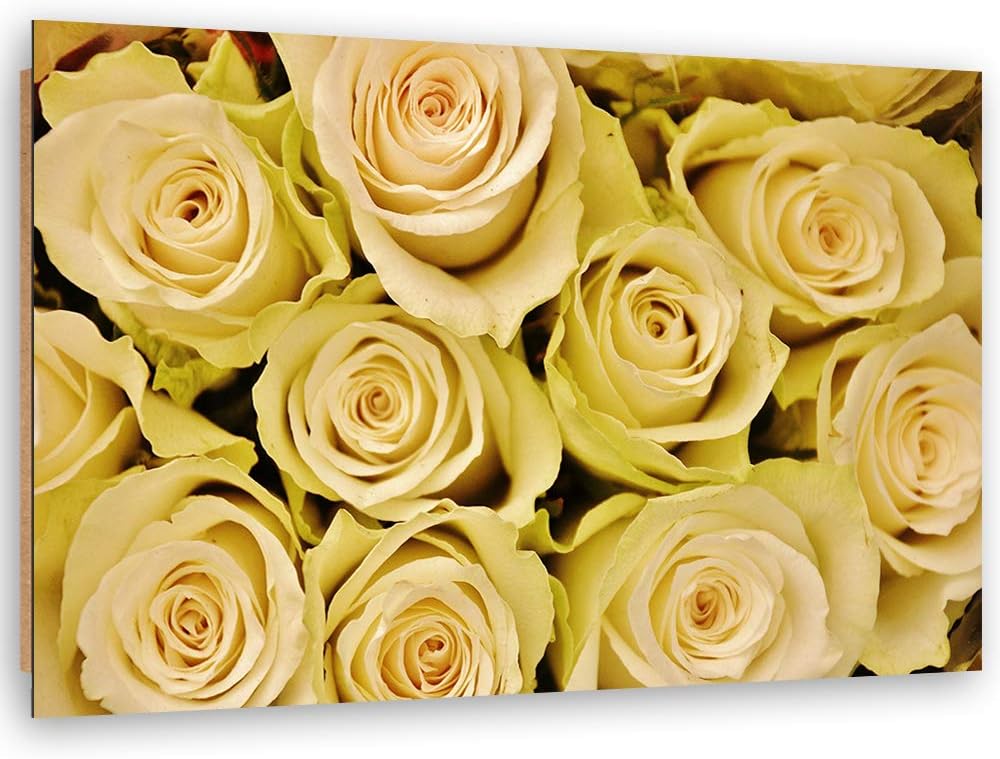 Wanddeko Rose Kunst modern Bilder Blume Gelb 100x70 cm M14551 100x70 cm, M14551 100x70 cm