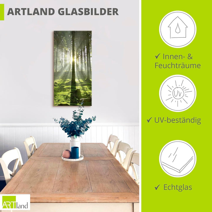 Glasbilder Wandbild Glas Bild einteilig 30x60 cm Hochformat Natur Wald Landschaft Sonne Bäume Moos F