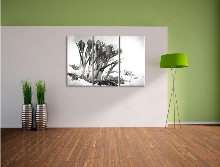 Pixxprint Frühling florwer Hintergrund / 3-Teilig/Gesamtmass 120cm Leinwandbild bespannt auf Holzrah