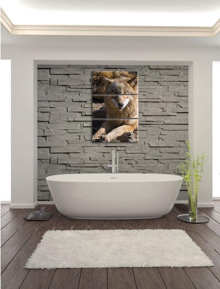 Pixxprint aufschauender Wolf 3-Teiler Leinwandbild 120x80 Bild auf Leinwand