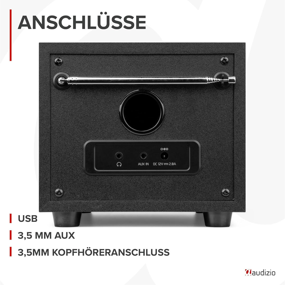 Audizio Vieste - DAB Radio mit Bluetooth, Digitalradio, 60 Watt Lautsprecher, DAB Plus Radio mit USB
