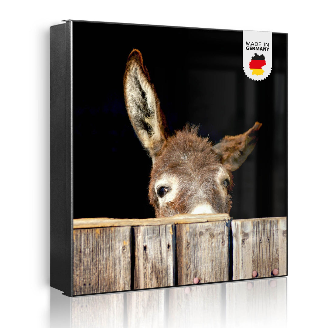 banjado® Grosser Schlüsselkasten Glas/Schlüsselbox 30cm x 30cm mit 50 Haken - Motiv Esel/Schlüsselka