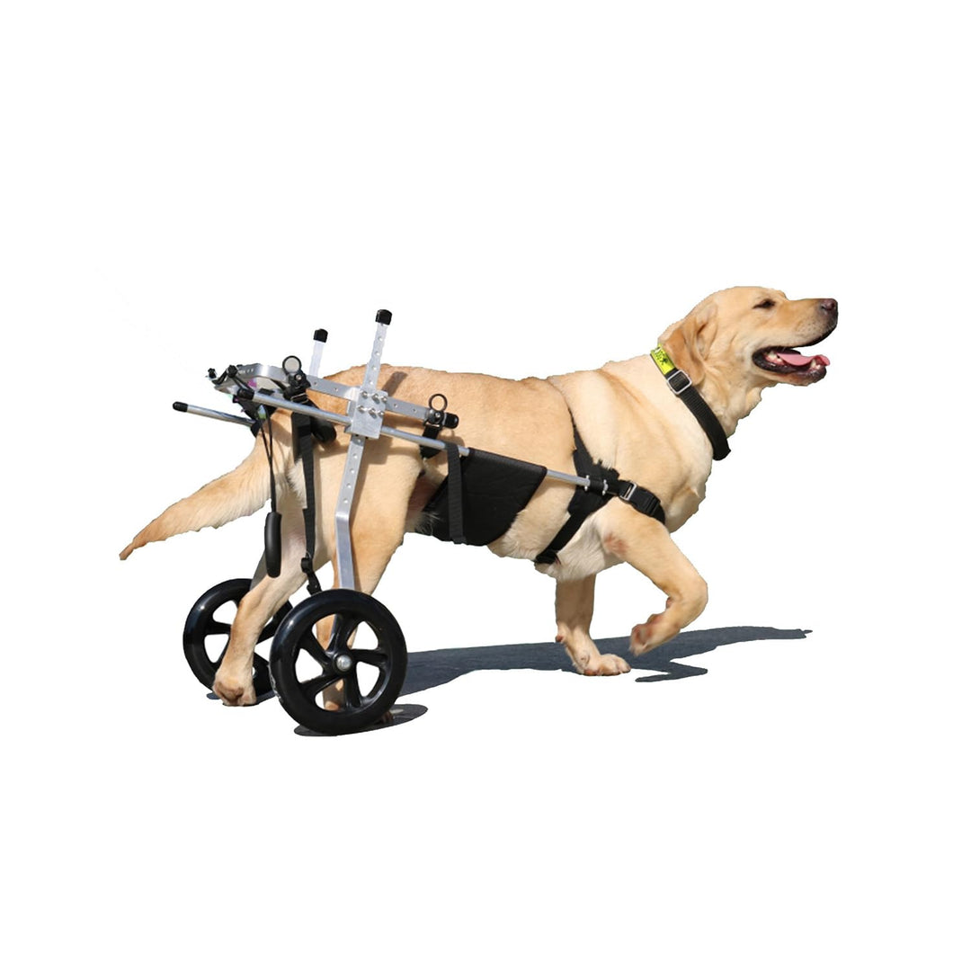 Yinian 2 Räder Verstellbarer Hunderollstuhl Für Tierhinter Beine Rehabilitation Scooter Pour Animaux