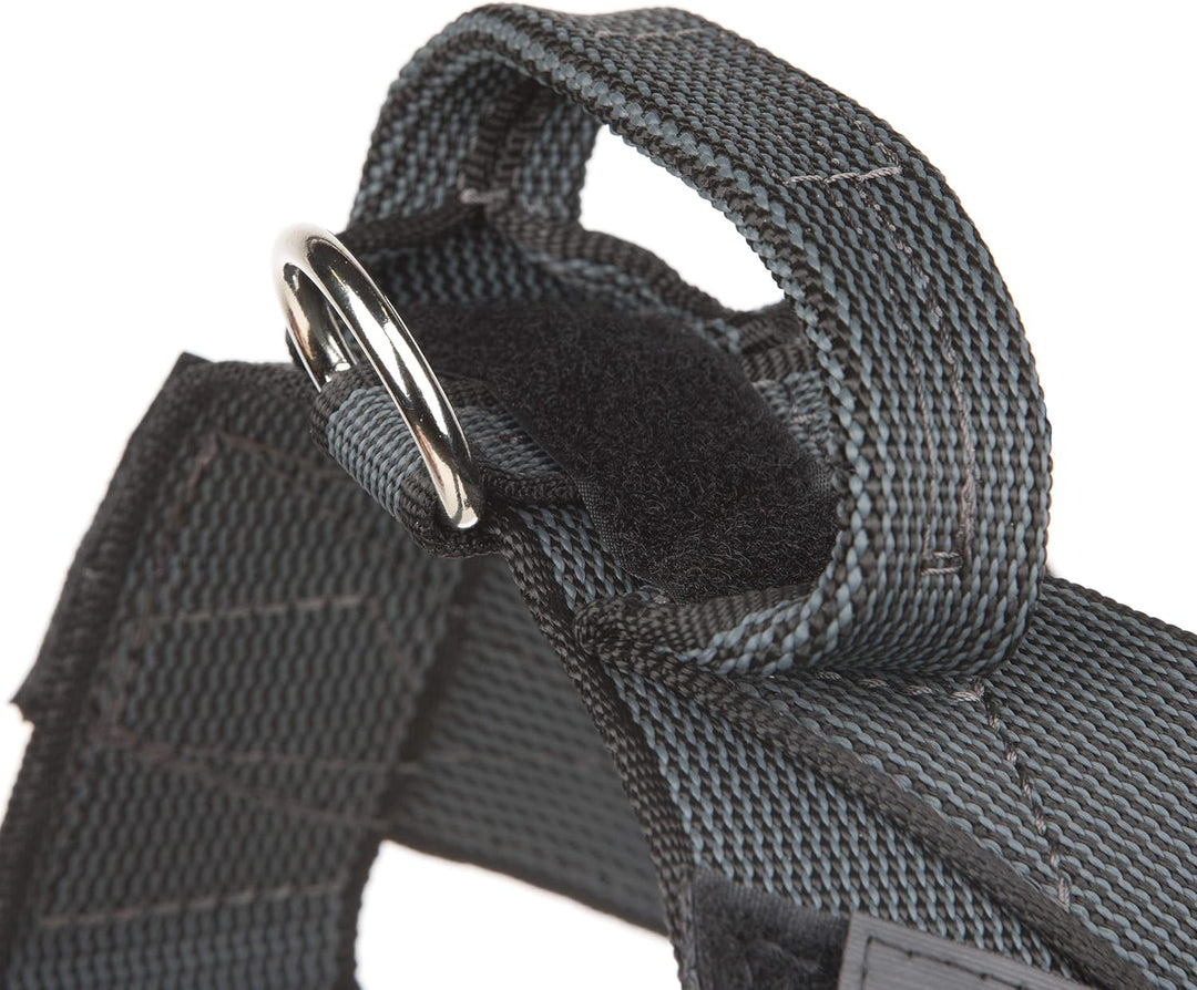 Julius-K9, Color & Gray, Beltgeschirr XL / 2 schwarz-grau, XL / 2 schwarz-grau