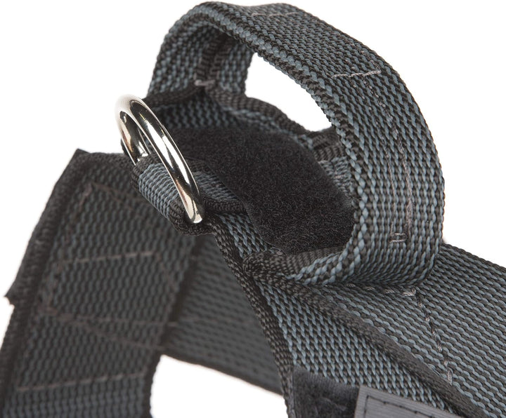 Julius-K9, Color & Gray, Beltgeschirr XL / 2 schwarz-grau, XL / 2 schwarz-grau