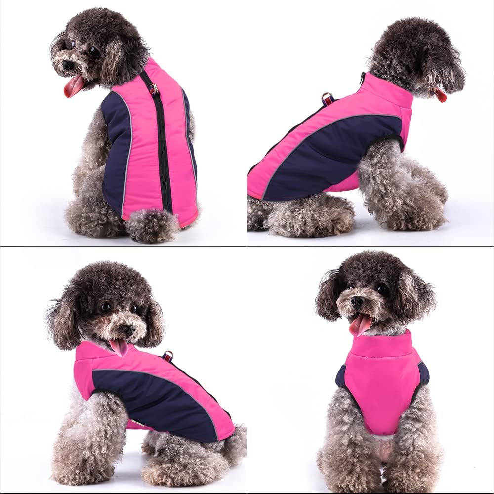 Didog Warmer Hundemantel für kleine Hunde und Katzen, mit Fleece gefüttert, reflektierende Hundejack