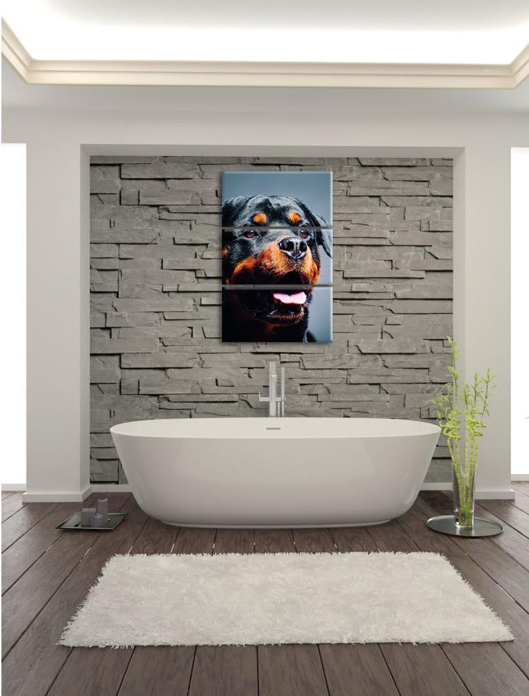 Pixxprint Treuer Rottweiler als Leinwandbild | Grösse: 3 Teilig (120x80) | Wandbild| Kunstdruck | fe