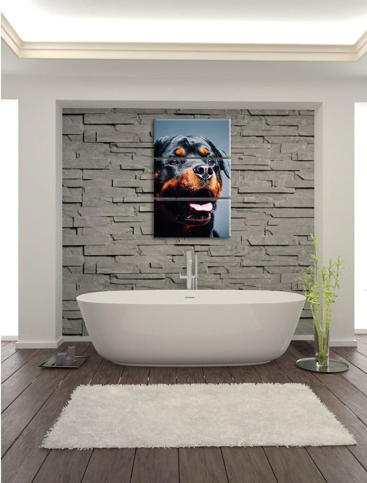 Pixxprint Treuer Rottweiler als Leinwandbild | Grösse: 3 Teilig (120x80) | Wandbild| Kunstdruck | fe