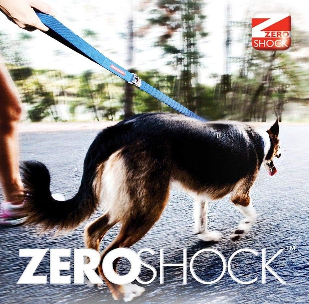 EzyDog Hundeleine für Grosse, Mittelgrosse Hunde - Elastische Leine mit Bungee Ruckdämpfer - 'Zero S