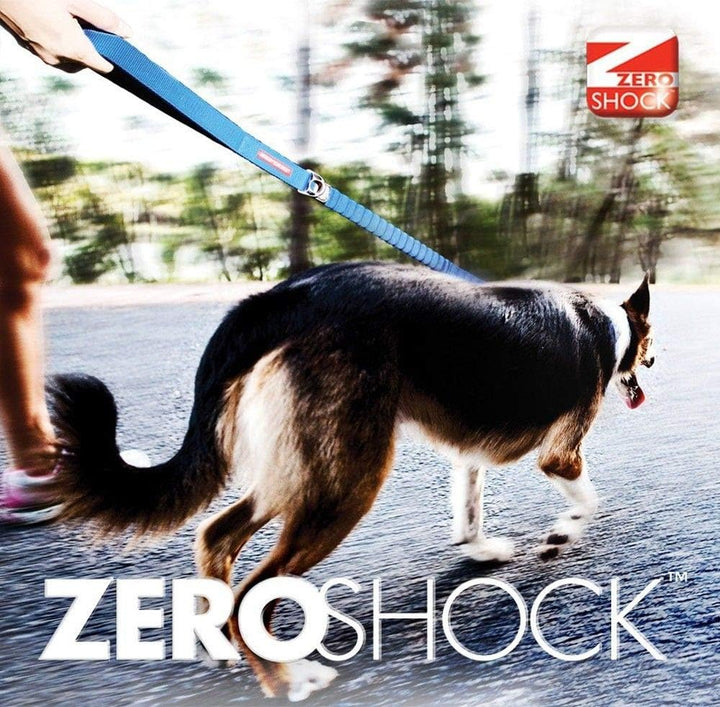 EzyDog Hundeleine für Grosse, Mittelgrosse Hunde - Elastische Leine mit Bungee Ruckdämpfer - 'Zero S