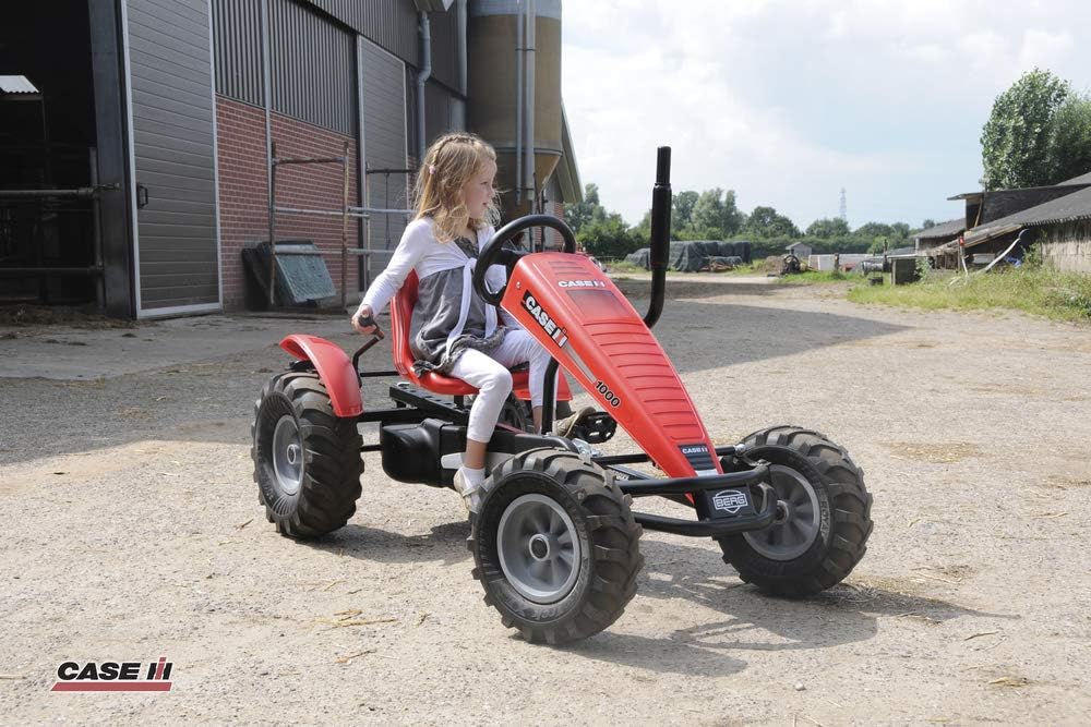 BERG 15.63.40.00 Auspuff Farm