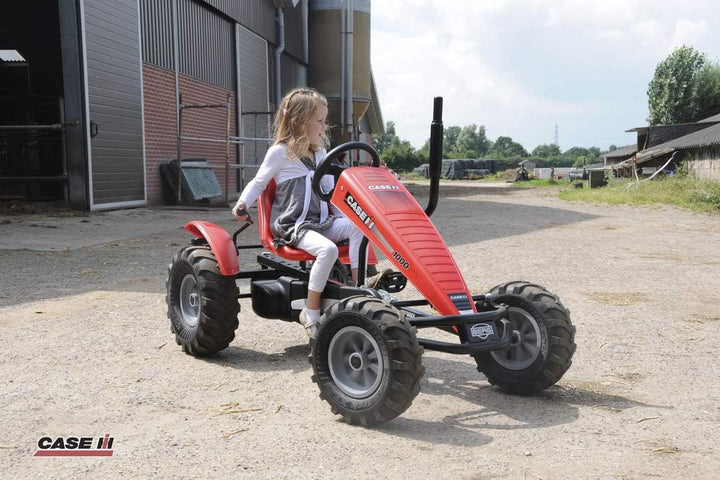 BERG 15.63.40.00 Auspuff Farm