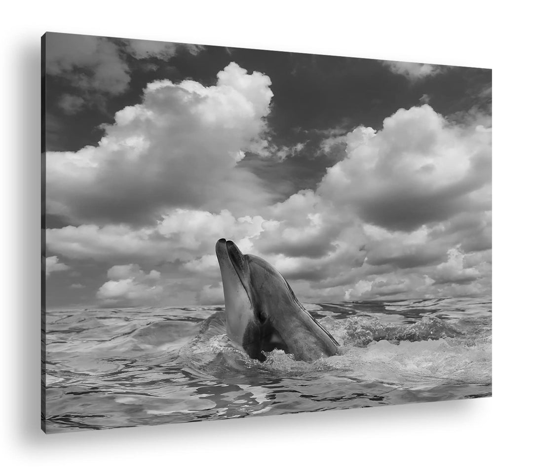 deyoli zauberhafter Delfin Effekt: Schwarz&Weiss Format: 80x60 als Leinwandbild, Motiv fertig gerahm