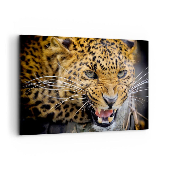 Bilder auf Leinwand 100x70cm Leinwandbild Leopard tier savanne afrika Gross Wanddeko Bild Schlafzimm