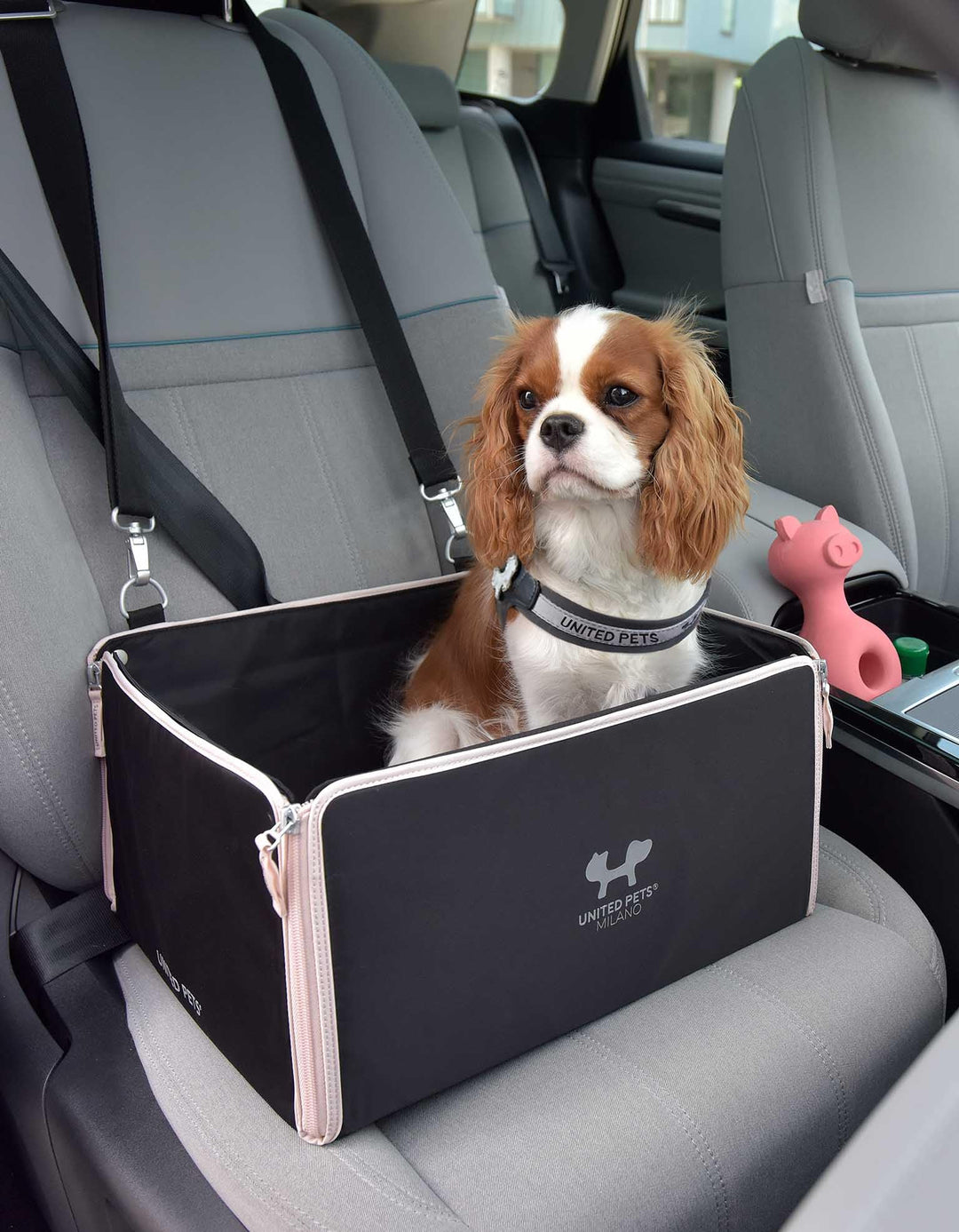 UNITED PETS Car Box Auto Hundetransportbox | waschbares Innenfutter | 100% R-Pet | Schwarz Rosa | Fa