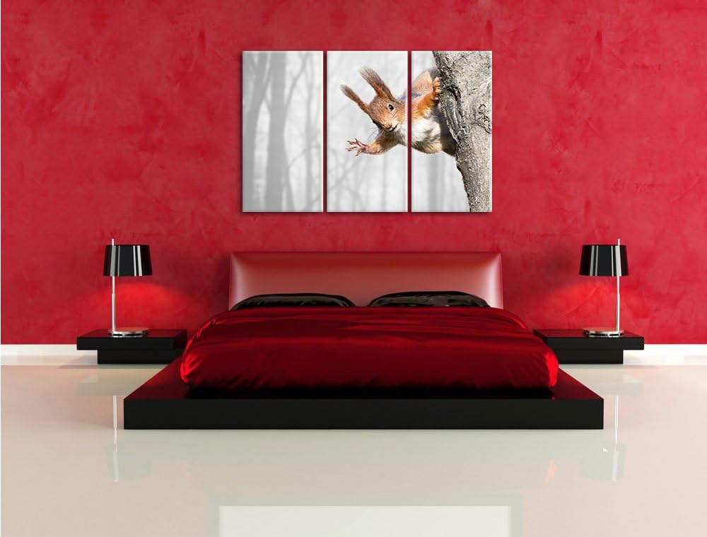 Pixxprint Neugierig rotes Eichhörnchen als Leinwandbild/Grösse: 3 Teilig (120x80 cm) cm/Wandbild/Kun