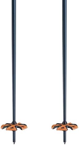 LEKI Unisex-Adult Skistock Einheitsgrösse neongelb, Einheitsgrösse neongelb
