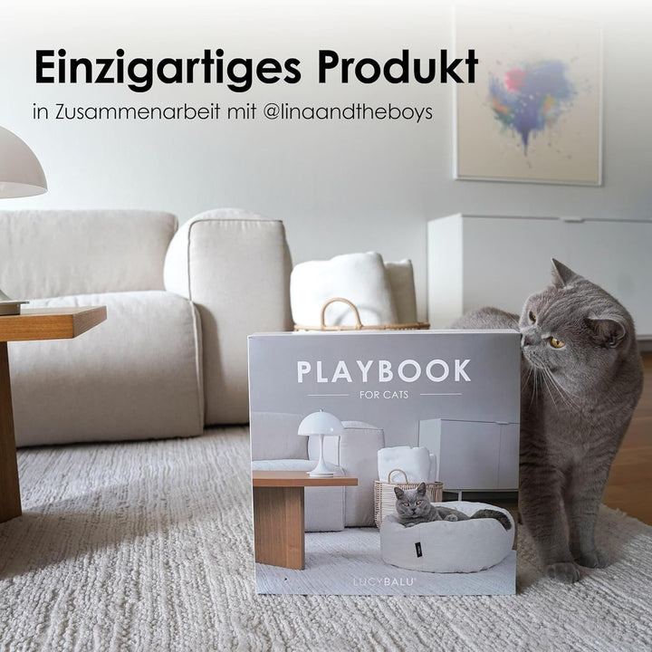 LucyBalu® Playbook Katzen Kratzbrett mit Ball | Fummelbrett | Katzenspielsachen aus Kratzpappe | Int