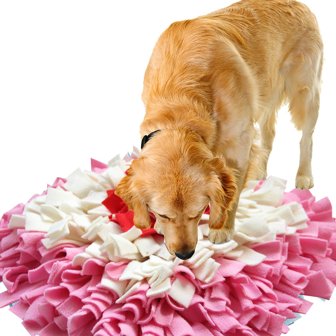 IEUUMLER Hundematte Snuffle Mat Erziehungsmatte für Hunde Dog Puzzle Toys IE075 (45 x 45 cm, Rosa &amp;