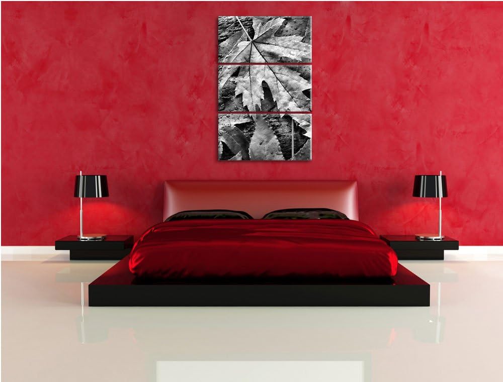 Pixxprint Monocrome, Bunte Herbstblätter 3-Teiler Leinwandbild 120x80 Bild auf Leinwand