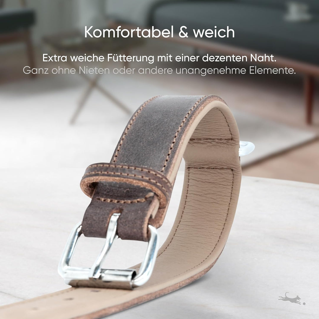 FREUDENTIER Hundehalsband aus zertifiziertem Leder - Inkl. Geschenksäckchen - Gepolstert & super kom