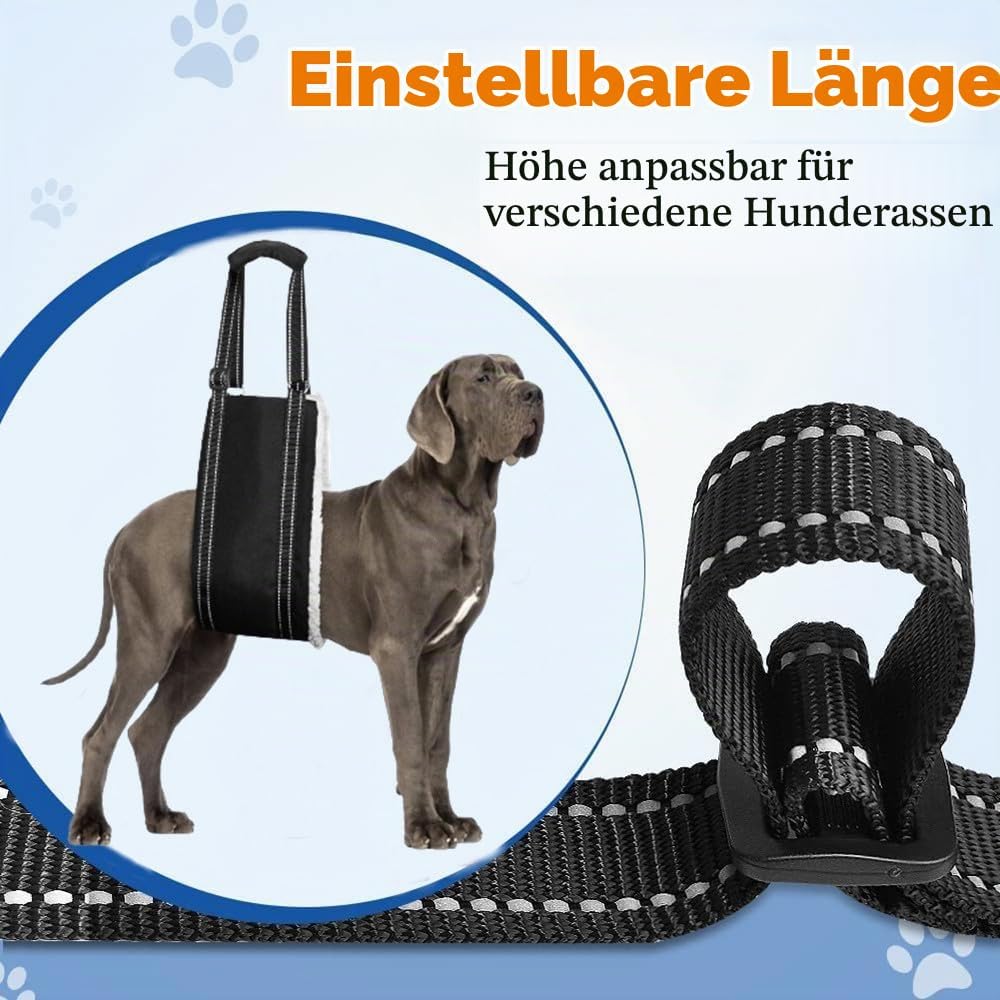 Tragehilfe Hund, Einstellbare Hunde Tragehilfe für die Unterstützung Von Behinderten und Älteren Hun