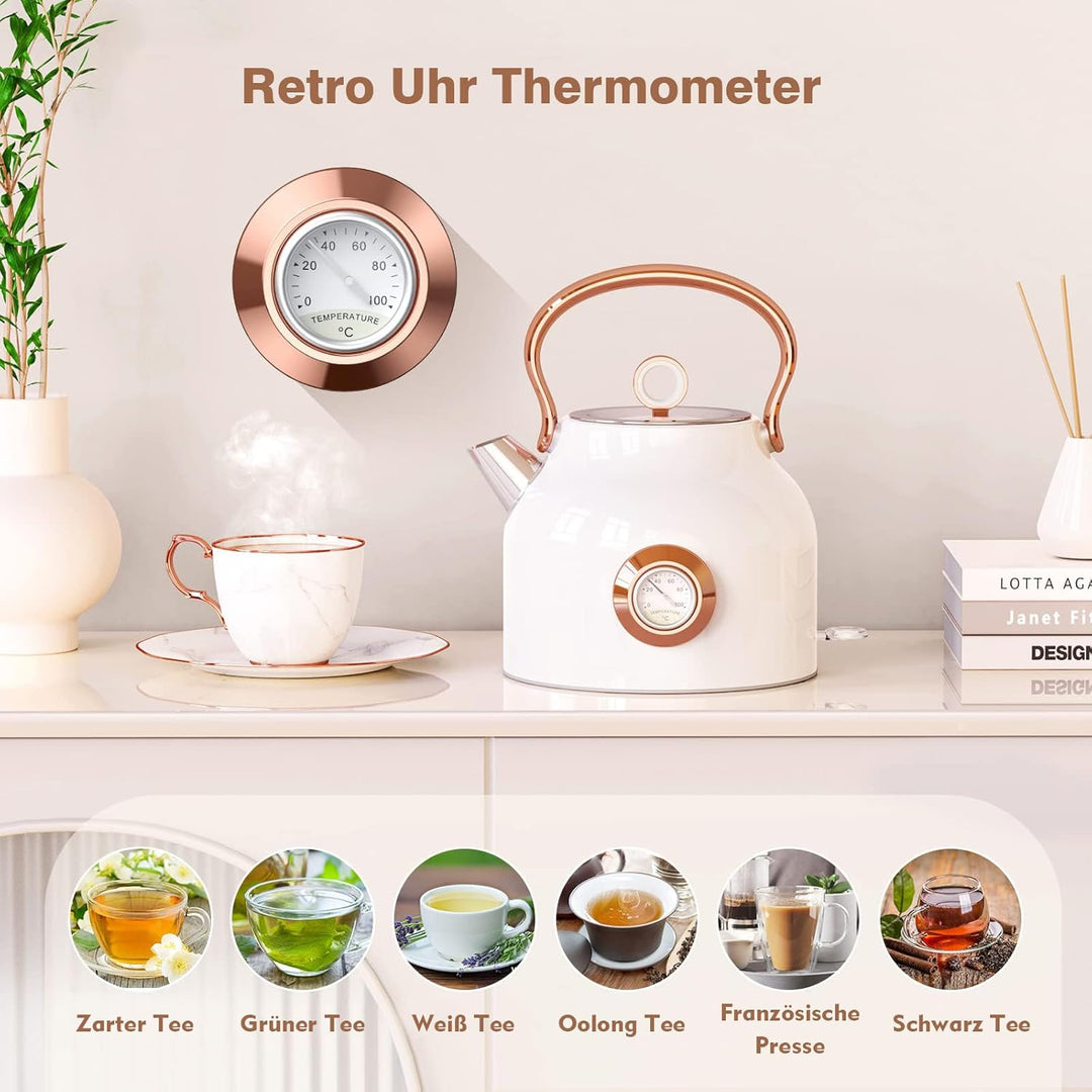 NESSGRAIM Retro Wasserkocher, 1,7 l Edelstahl-Teekessel mit Grosser Temperaturanzeige, 2200W Schnell