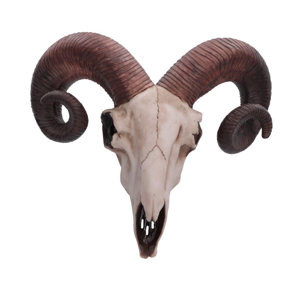 Nemesis Now Widder-Totenkopf-Wandschild, mittelgross, 32,5 cm, Elfenbeinfarben, Kunstharz, Einheitsg