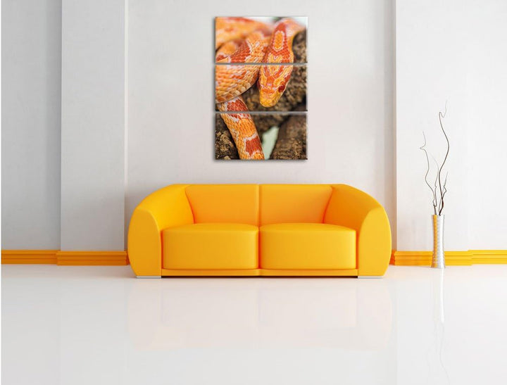 Pixxprint ruhende Kornnatter als Leinwandbild/Grösse: 3 Teilig (120x80) cm/Wandbild/Kunstdruck/ferti