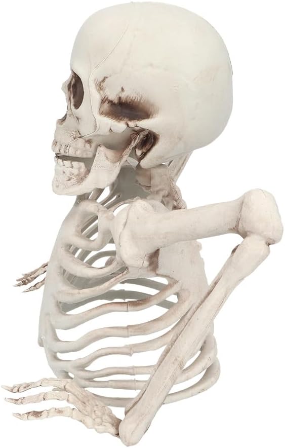 Boland 73214 - Skelett Dekoration, 20 cm, Deko für Halloween und Karneval, Party Deko