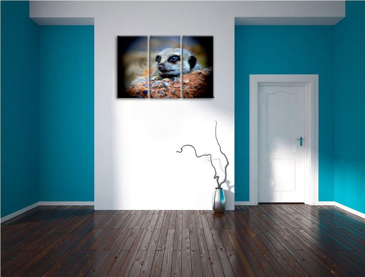 Dark ausgewachsenes Erdmännchen auf Steinboden NewArt 3-Teiler Leinwandbild 120x80 Bild auf Leinwand