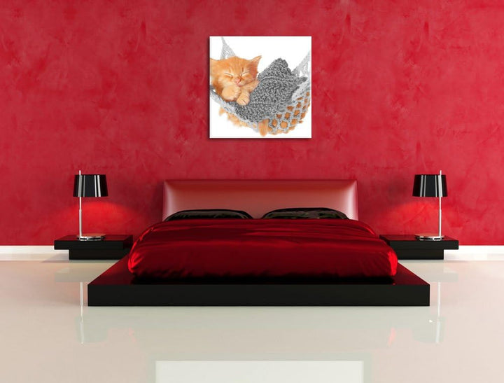 Pixxprint Katzenbaby in Hängematte als Leinwandbild Quadratisch/Grösse: 70x70 / Wandbild/Kunstdruck/